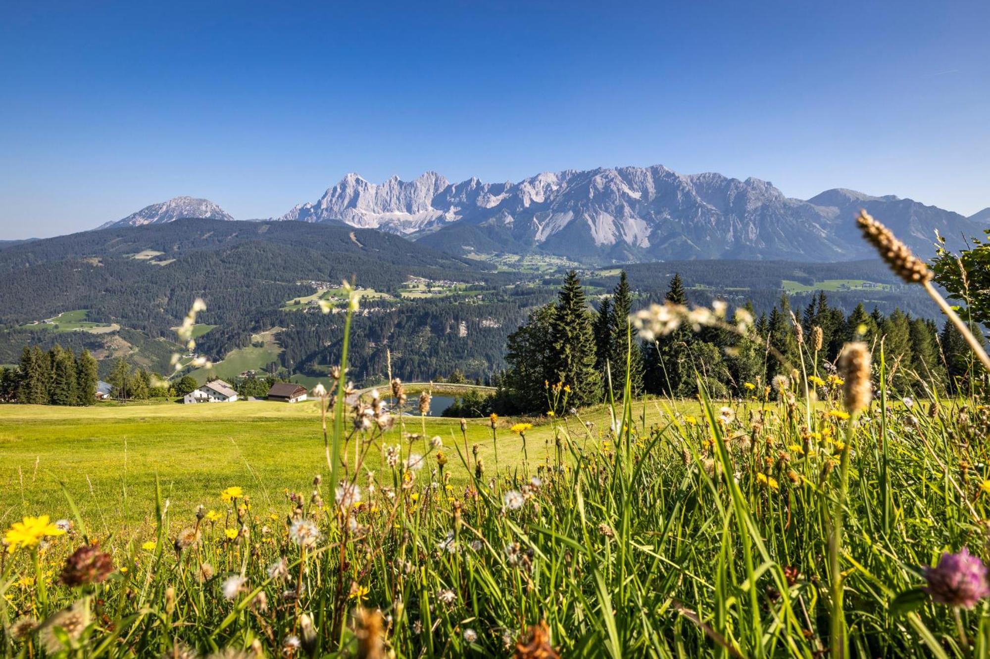 Gaestehaus Mirzl * Schladming